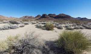 Mojave Desert, CA