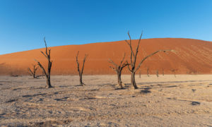 Dead Vlei - Namibia